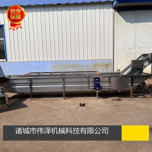 净菜加工生产设备 小葱气泡清洗机 黄桃芒果翻浪喷淋式清洗设备