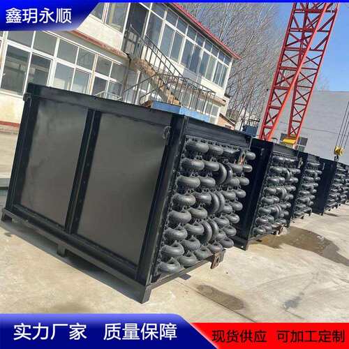 鑫玥永顺厂家供应HT200铸铁翅片管省煤器 锅炉配件省煤器