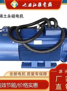 TYP315L-8-15/185KW TYC4极185千瓦变频启动高效三相稀土永磁电机