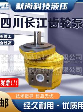 四川长江齿轮泵CBY2010/2016/2025/2032/2040/2050/2063-1TR/FL泵