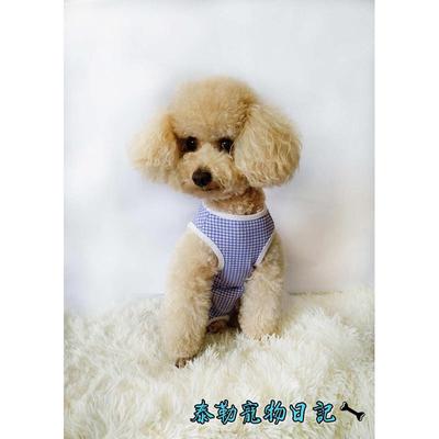 狗狗衣服蓝格子公狗防尿母狗全包护肚子断奶服母猫绝育手术服防舔