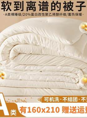 夏被160x210大豆纤维子母被冬被加厚保暖春秋被芯单双人1米6乘2.1