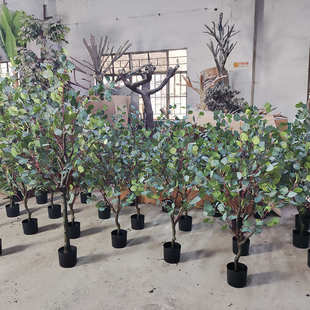 叶盆栽盆景尤加利欧风  叶植物北仿真尤摆件圆圆加利家居批发绿化