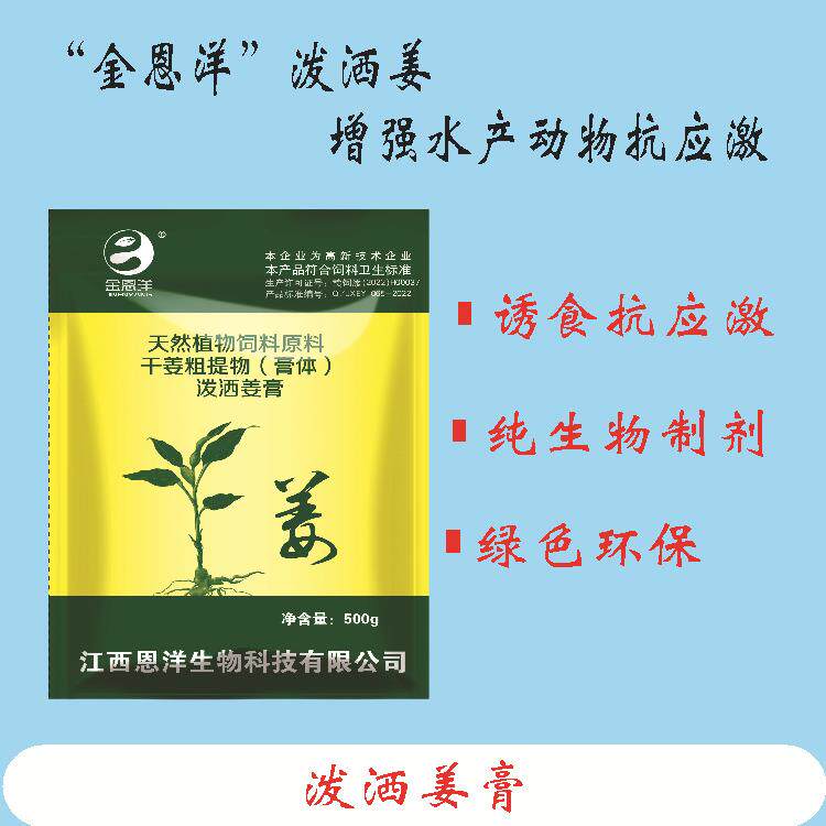 泼洒姜水产养殖鱼塘高温拉网分塘抗应激鲜活鱼运输保苗泼洒干姜膏