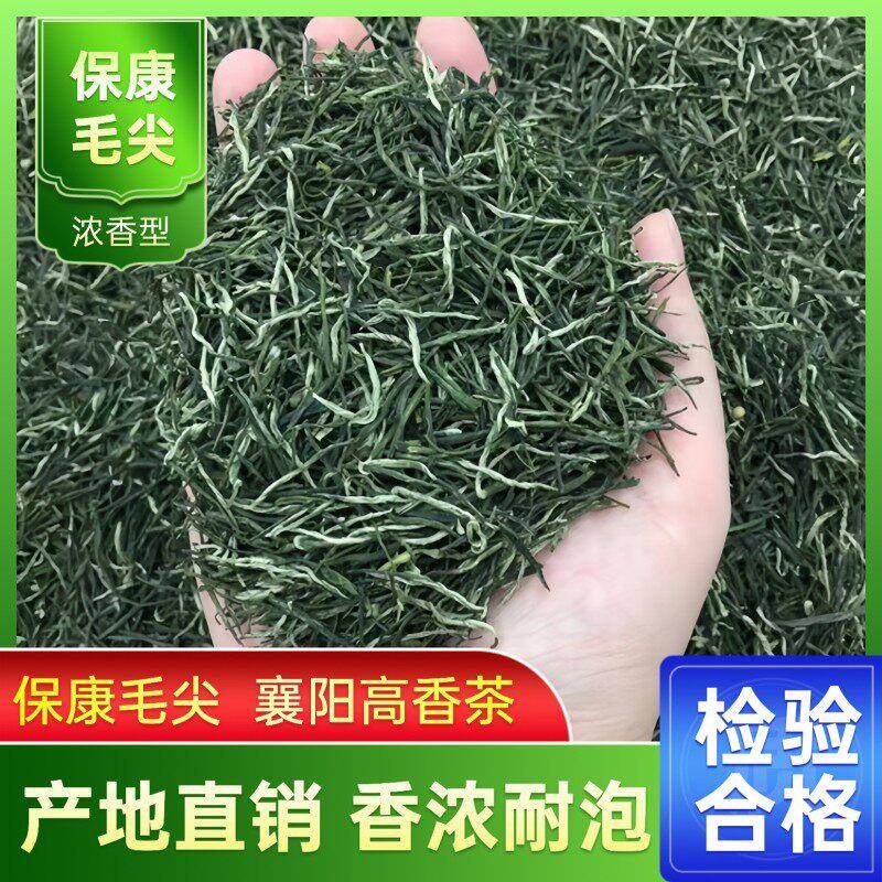 湖北绿茶2025年新茶保康毛尖茶明前一级茶叶袋装散装500克/250克
