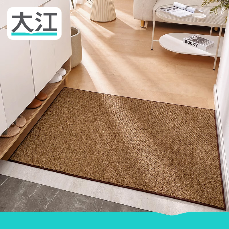 大江入户地垫耐磨玄关进门脚垫大门口家居地毯高端简约进户门垫子