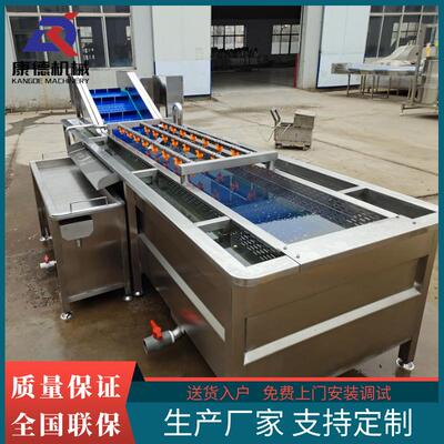 不锈钢沙葱气泡清洗机酸白菜全自动清洗设备沙果去杂鼓泡清洗机
