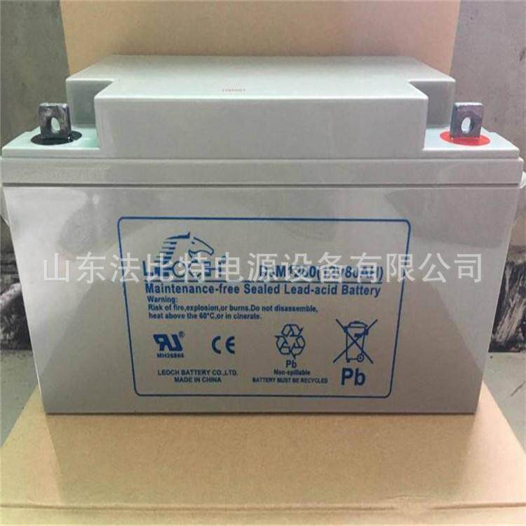 江苏理士铅酸蓄电池DJM12100S免维护12V100Ah质保三年 LEOCH