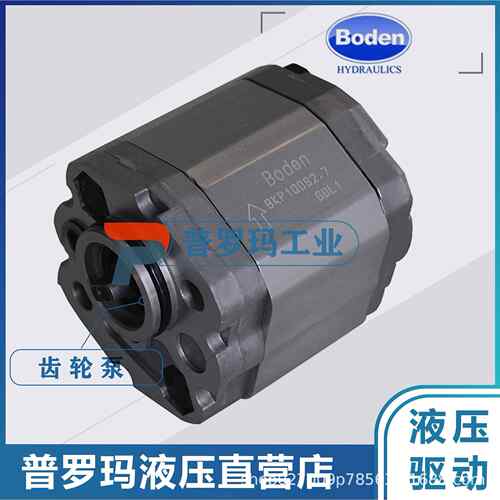 原装BODEN齿轮油泵BKP1Q0/Q1/Q2/B0D4.2 4.8 5.8 7.0 8.0 S R
