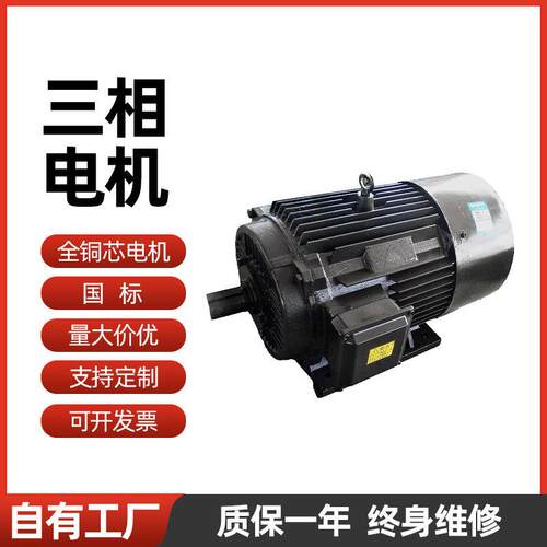 卧式三相异步电动机铸铁风压低噪音电机封闭恒速震动电机