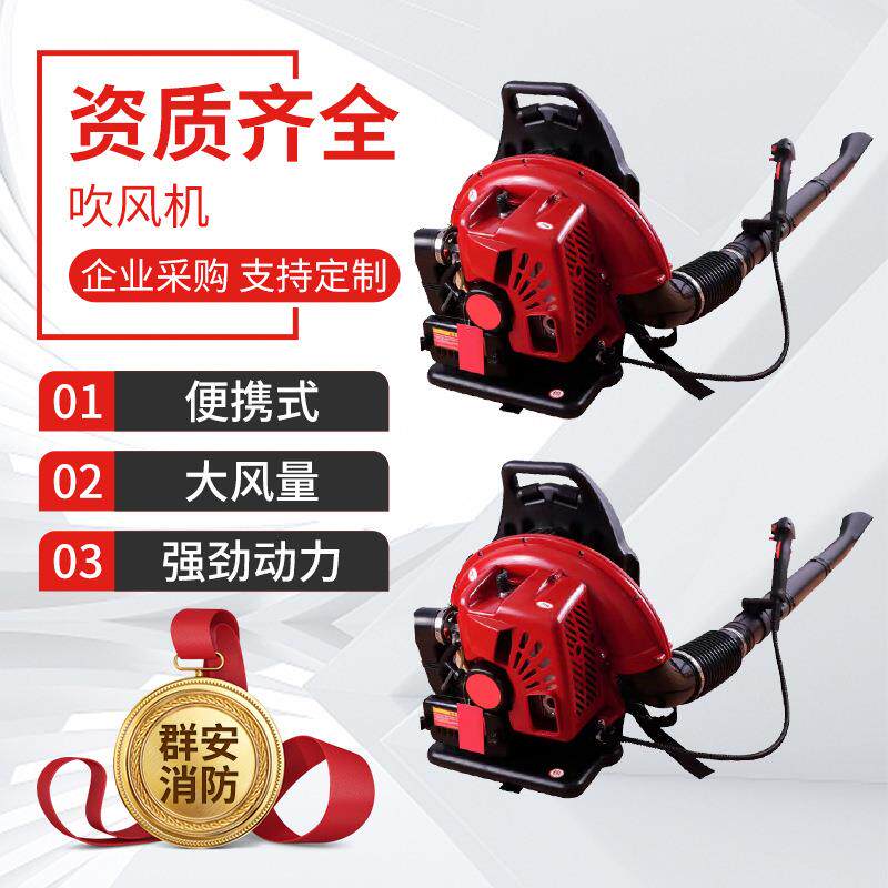 电动吹风机手提式工业电动吸吹两用吹风机鼓风机小型家用吹风机