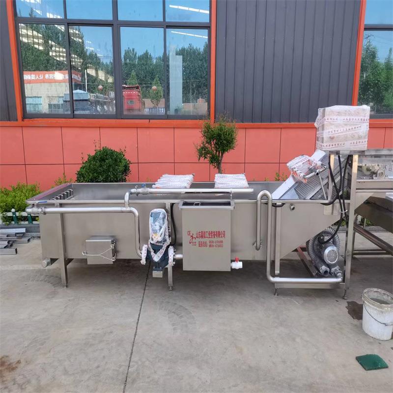 黄桃罐头加工设备新款黄桃去农残气泡清洗机金桔清洗机器
