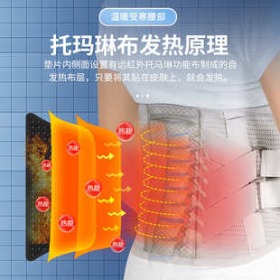 仿生四季 护腰带透气腰间加宽钢板支撑保暖腰围男女腰部固定带批发