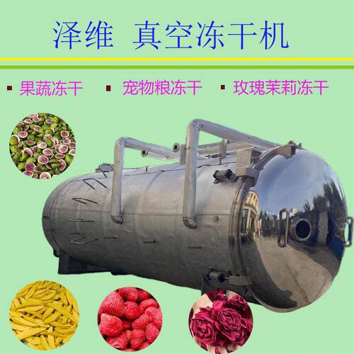 全自动荔枝龙眼真空冻干机鸡肉粒鸭胸肉冷冻干燥机人参三七冻干