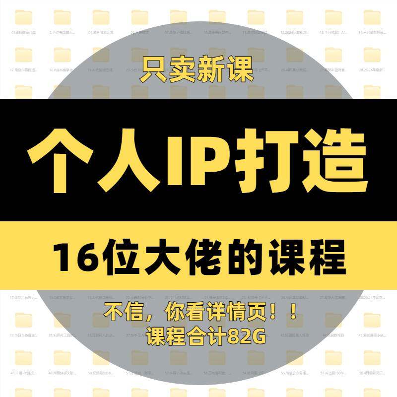 2025年从0到1个人ip打造教程私域营销变现创业人做私域系统新课程