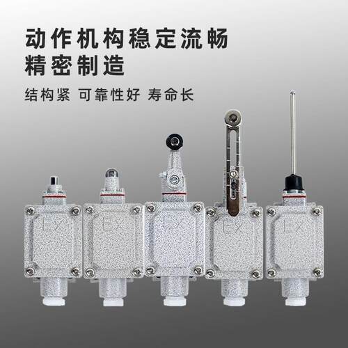 防爆行程开关LX5-D自复位限位开关LX5-B单摇臂滚轮式耐用工厂直供