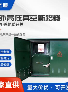 ZW20落地式开关高压真空断路器10KV户外智能隔离柱上分界空气开关