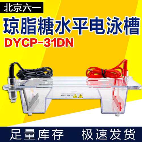 北京小号DYCP-31BN/31CN/31DN琼脂糖水平电泳槽电泳仪凝胶板