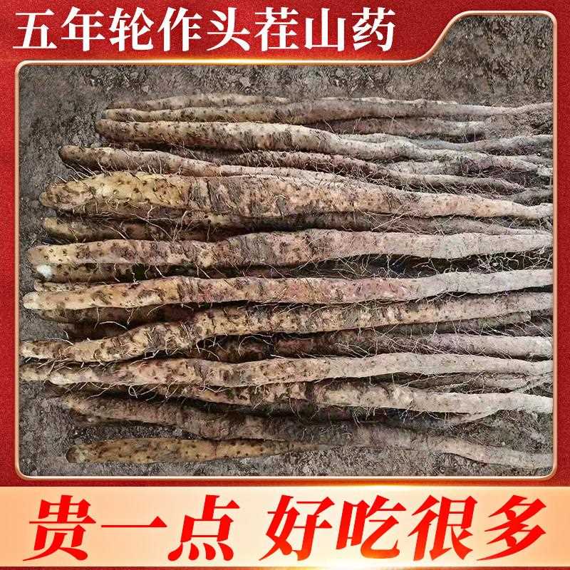 正宗垆土铁棍山药新鲜铁杆山药现挖小白嘴山药产地直发顺丰直达