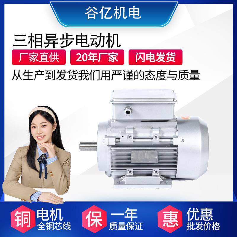 YS-100L2-4-3KW铝壳电机机械设备用三相异步电动机质保一年