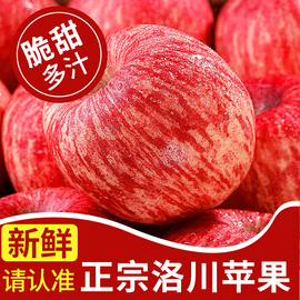 正宗陕西洛川苹果水果新鲜当季整箱红富士，冰糖心一级脆甜10斤