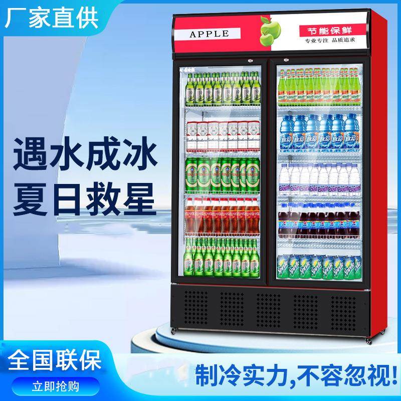 啤酒饮料冷藏展示柜商用单双门三开门保鲜冰柜超市冰箱立式酒水柜