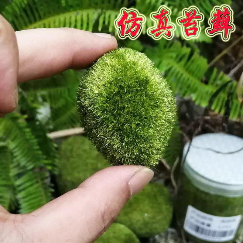 仿真苔藓室内造景假树枝管道遮挡装饰苔藓树藤背景墙面装饰假绿草