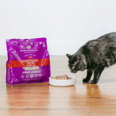 美国Stella Chewy's星益生趣 SC冻干生鲜猫粮主食生骨肉幼猫成猫
