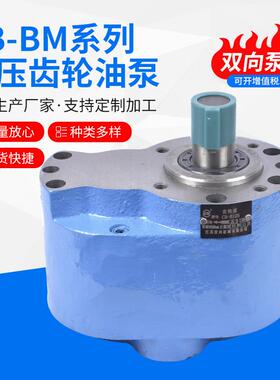 CB-BM16系列齿轮油泵CB-BM25齿轮油泵CB-BM40CB-BM63CB-BM80