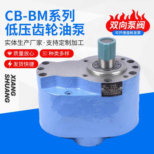 江苏齿轮泵CB-B80/CB-B100/CB-B125齿轮油泵液压泵稀油站油泵