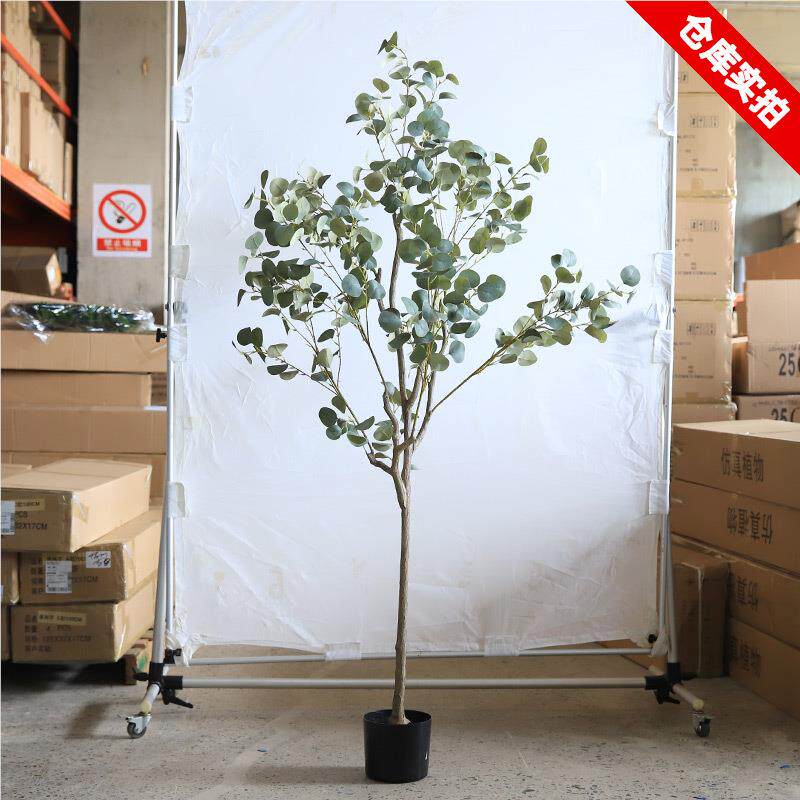 种寸尺仿真绿植盆栽尤多加利盆栽24010916北欧INS网物红假植客厅