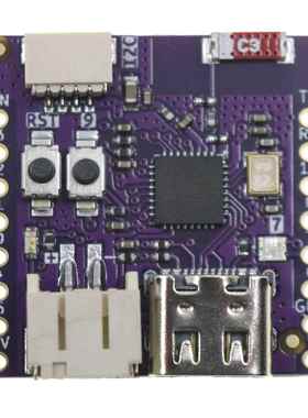 LOLIN C3 PICO V1.0.0 - ESP32-C3FH4 4MB WIFI蓝牙开发板