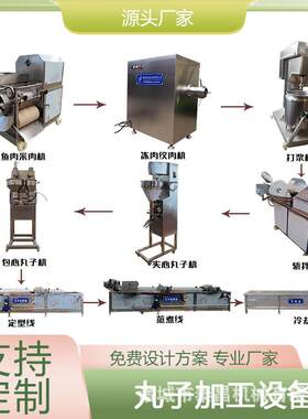 小型全套鱼丸加工设备各种丸子生产设备鸡肉丸成型机鱼糜制品设备