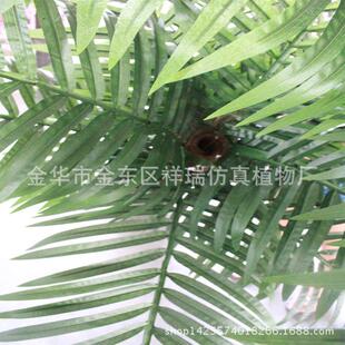 仿真椰子叶棕榈科热带植物叶5杆椰子叶果树假树美洲家居装饰