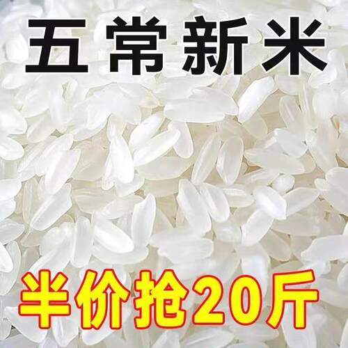【Q弹】新米2025年大米五常大米东北10斤珍珠米5斤20斤优质长粒香