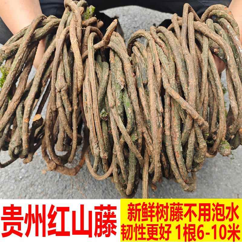 免泡水树藤红山藤新鲜树藤条婚庆吊顶管道遮挡装饰用藤条藤曼缠绕