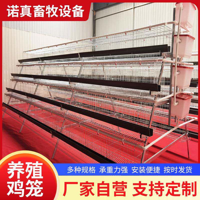 蛋鸡笼单边4层4层家用养殖鸡笼加粗阶梯式鸡笼