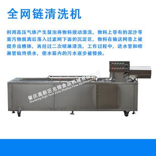 全气自ZQI动荔枝喷淋清洗机叶菜类泡清洗加工清备萝卜设气泡洗流