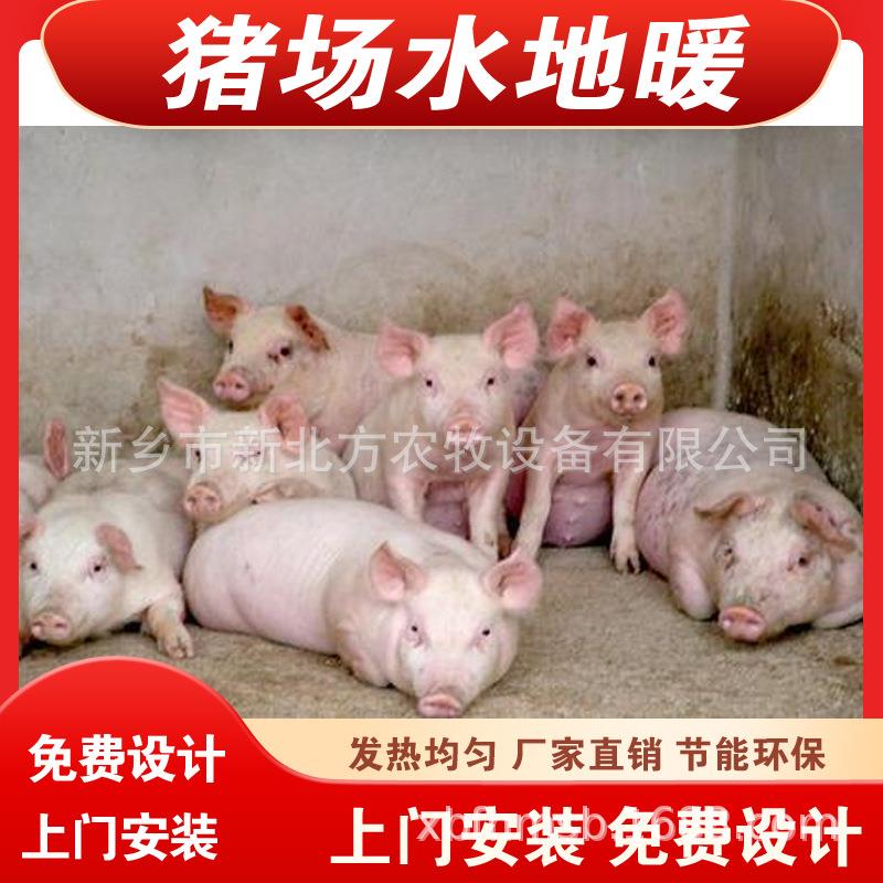 新北方猪用地暖仔猪地热养殖空气能地暖免费设计安装现场建设施工