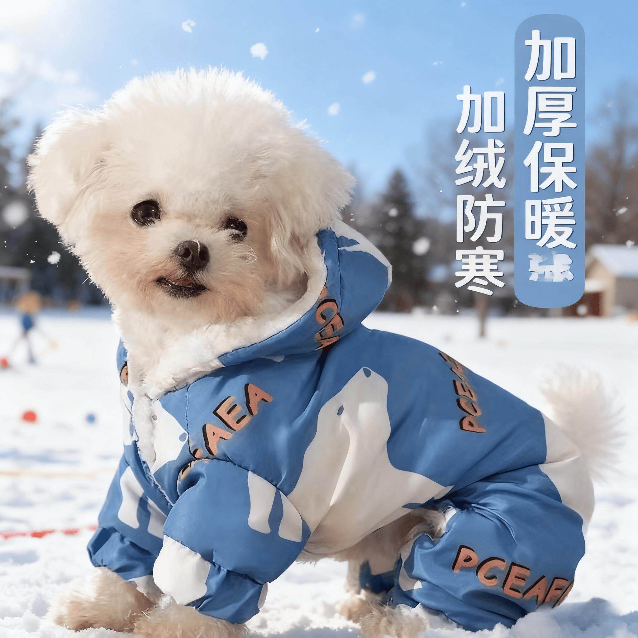 小型狗狗冬装保暖可爱比熊公狗衣服四脚新年卡通猫狗新款边牧牵引