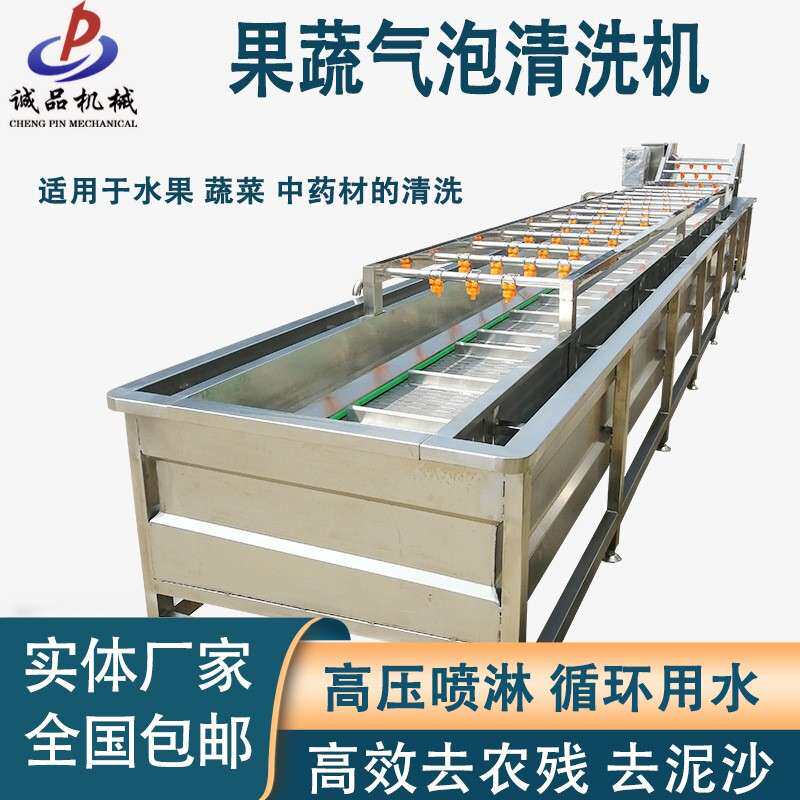 全自动果蔬气泡清洗机豆芽芹菜冬笋洗菜机海鲜毛豆香椿清洗流水线