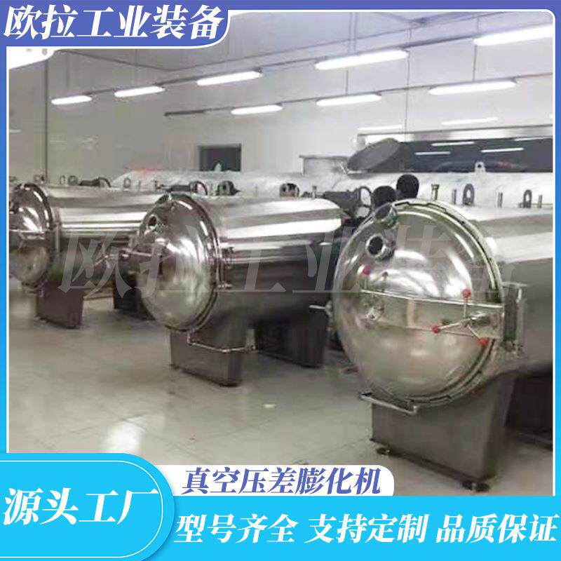 全自动真空膨化机械椰子片膨化机芒果商用膨化设备