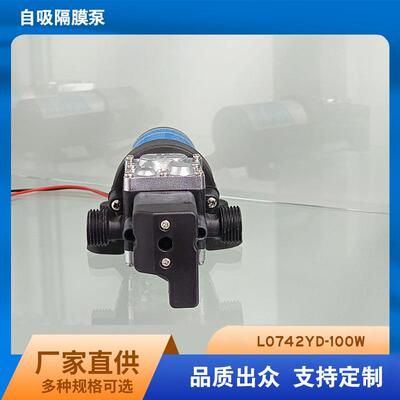 洗铁龙隔膜泵 高压抽水泵家用小型 自吸大功率12V24V100W抽水泵