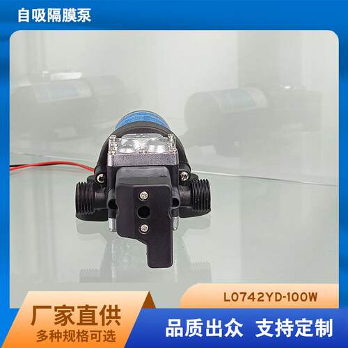 洗铁龙隔膜泵 高压抽水泵家用小型 自吸大功率12V24V100W抽水泵
