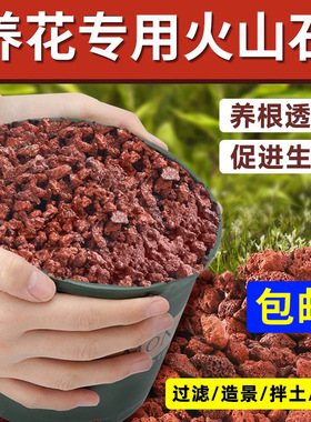 包邮火山石红色水池铺底鱼缸铺底天然原石花盆火山石颗粒生态造景