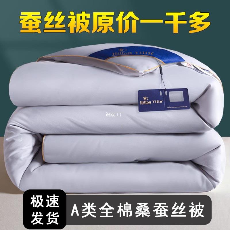 冬被夏凉被保暖高端加厚春秋被蚕丝被双人全棉被子芯纯棉桑蚕丝