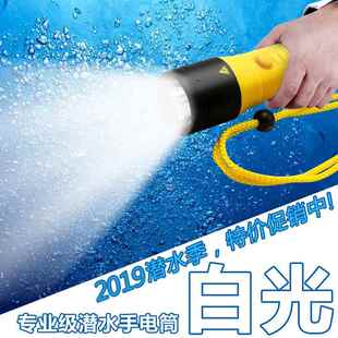 高档达星普专业户潜水电筒外防水LED强光充手电水下照明超亮T6夜