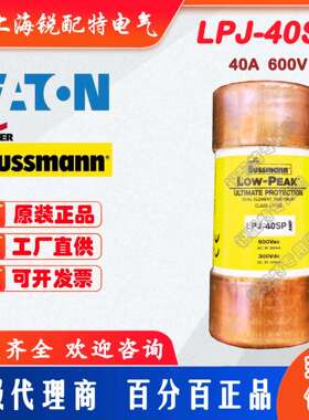 LPJ-40SP 延时保险丝 600V40A 巴斯曼BUSSMANN熔断器