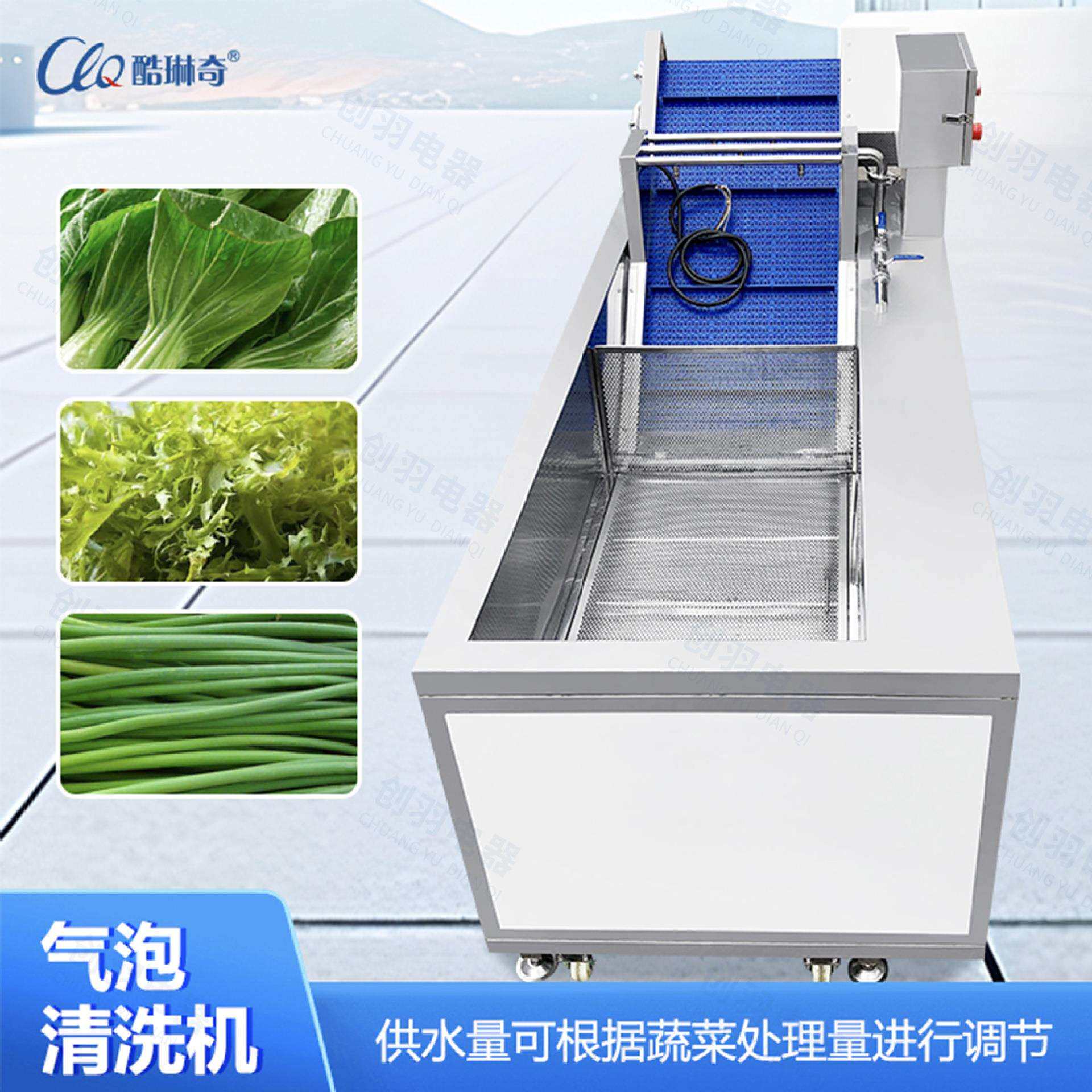 优选生菜蒜头翻浪式鼓泡清洗机全自动不锈钢青椒黄瓜龙须菜洗泥