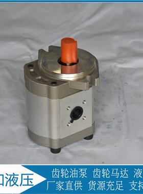CBK1010-487R 齿轮泵 多种规格 运行稳定